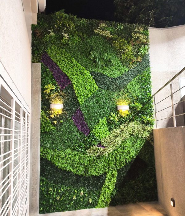 IMG_20211105_185449_2